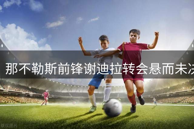 那不勒斯前锋谢迪拉转会悬而未决，阿莱格里或成关键因素